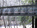 4_pfeiffer_big_sur_01