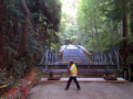 4_pfeiffer_big_sur_02