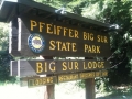 4_pfeiffer_big_sur_03